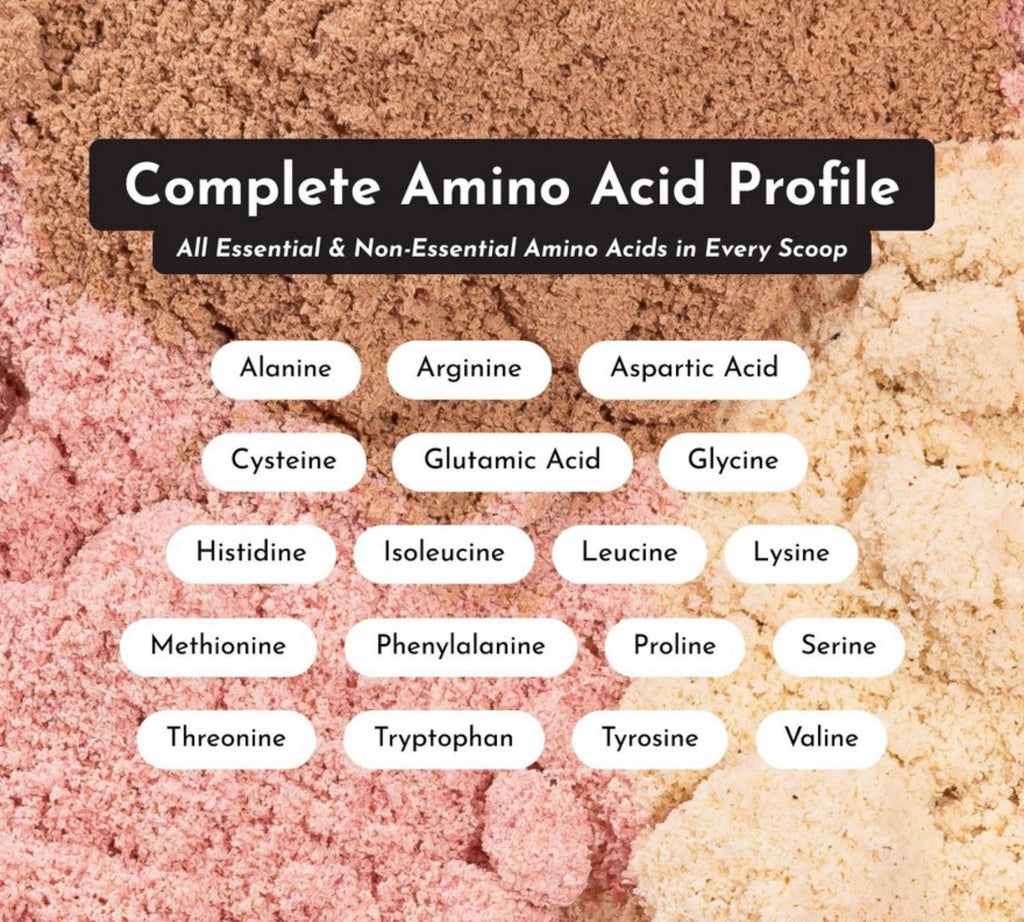 Just Ingredients Snickerdoodle Protein Powder
(NSF) - Pea/Whey - 22g Protein - 32.3oz/25
Servings